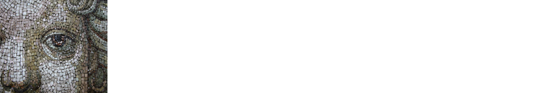 NWES Logo white